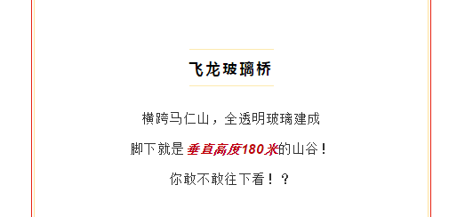 午夜熟女插插XX免费视频