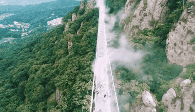 午夜熟女插插XX免费视频