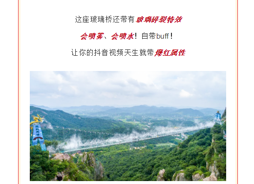 午夜熟女插插XX免费视频