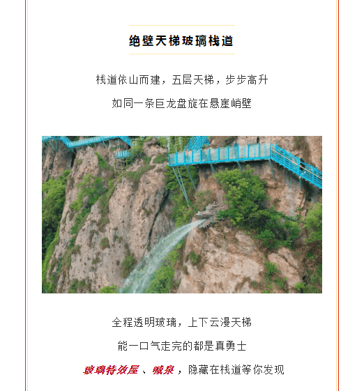 午夜熟女插插XX免费视频