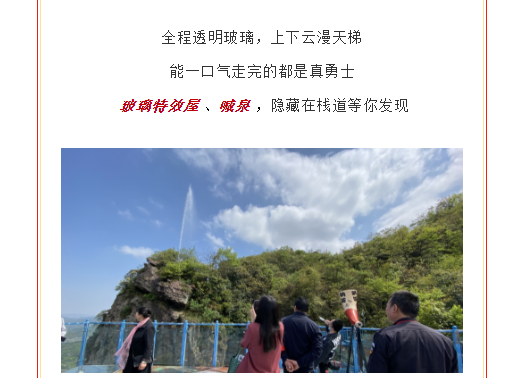 午夜熟女插插XX免费视频