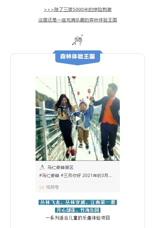 午夜熟女插插XX免费视频