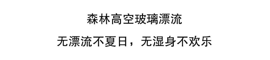 午夜熟女插插XX免费视频