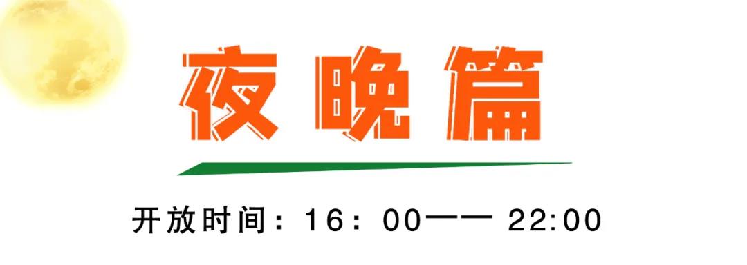 午夜熟女插插XX免费视频