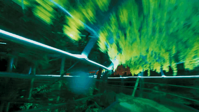 午夜熟女插插XX免费视频