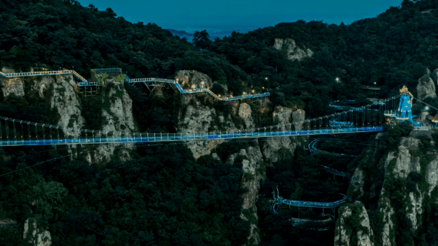 午夜熟女插插XX免费视频