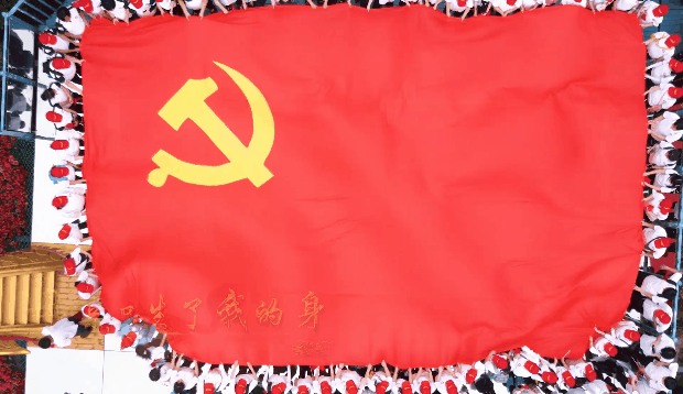 午夜熟女插插XX免费视频