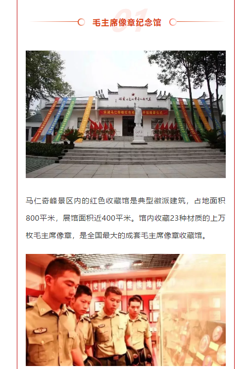 午夜熟女插插XX免费视频