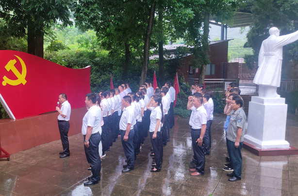 午夜熟女插插XX免费视频