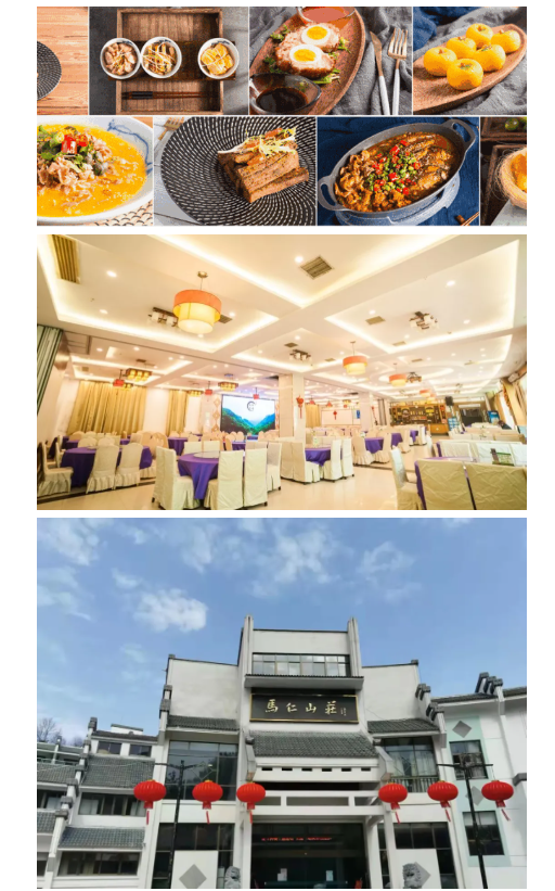 午夜熟女插插XX免费视频