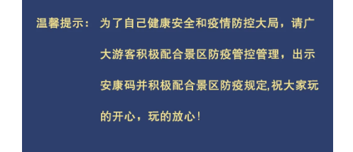 午夜熟女插插XX免费视频