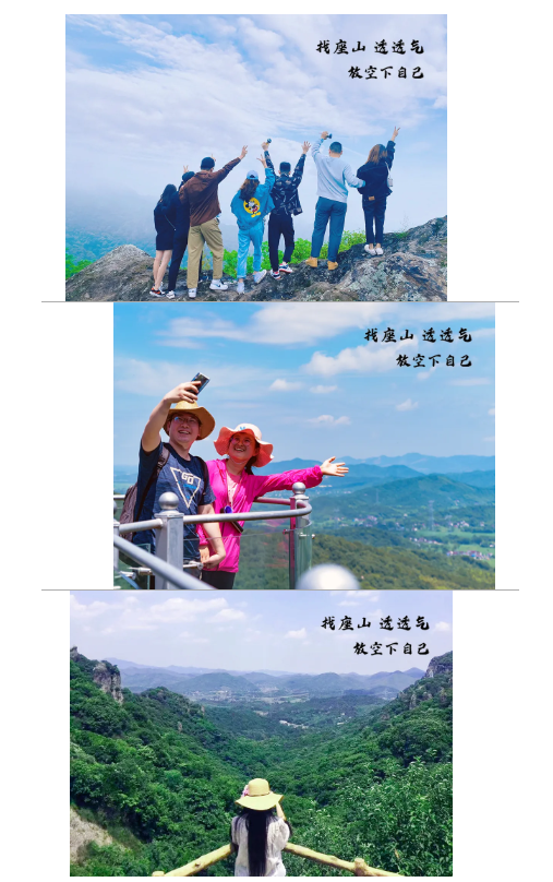 午夜熟女插插XX免费视频