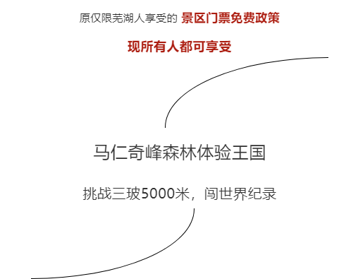 午夜熟女插插XX免费视频