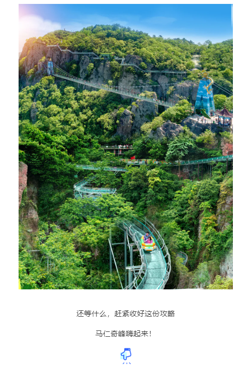 午夜熟女插插XX免费视频