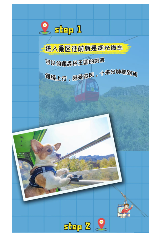 午夜熟女插插XX免费视频