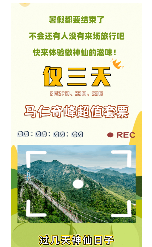 午夜熟女插插XX免费视频