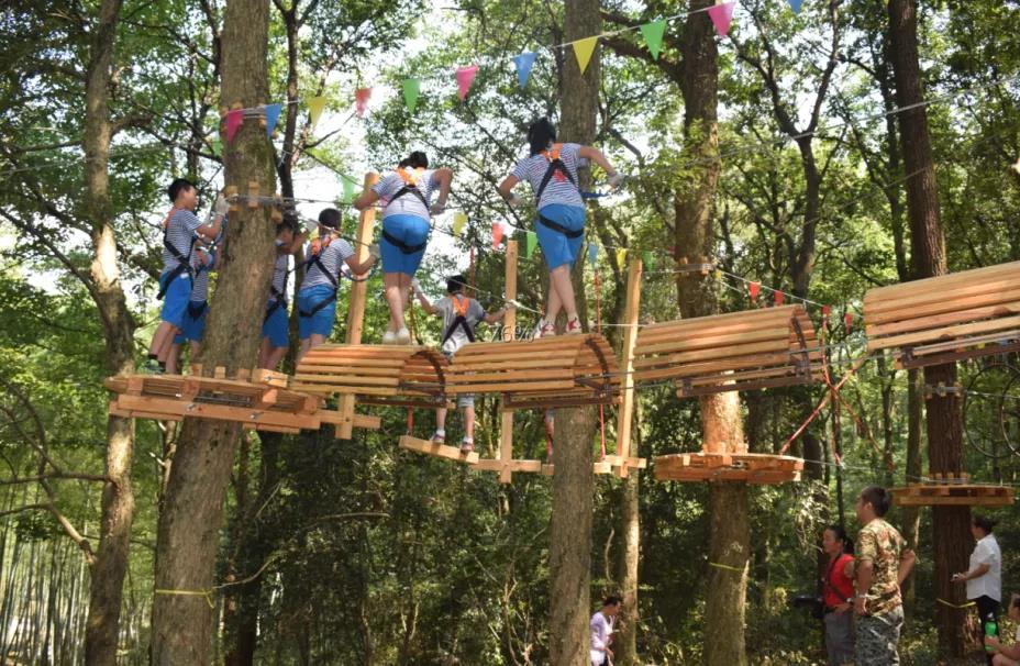 午夜熟女插插XX免费视频