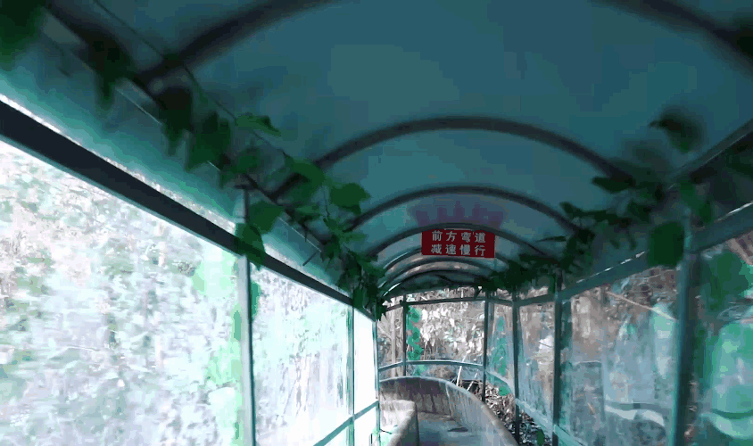 午夜熟女插插XX免费视频