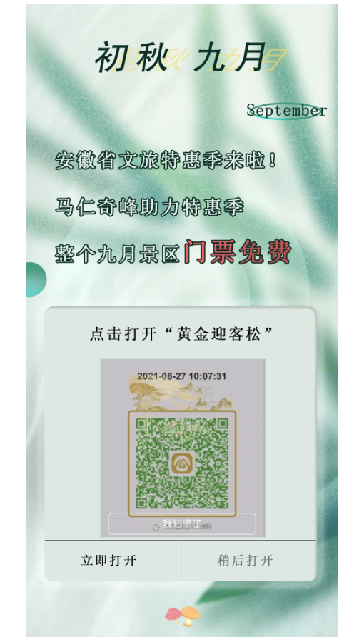 午夜熟女插插XX免费视频