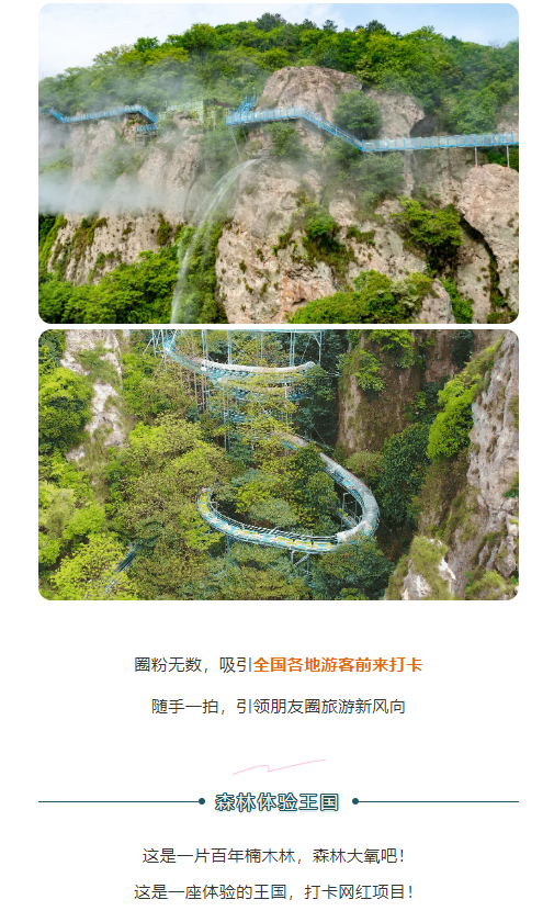 午夜熟女插插XX免费视频