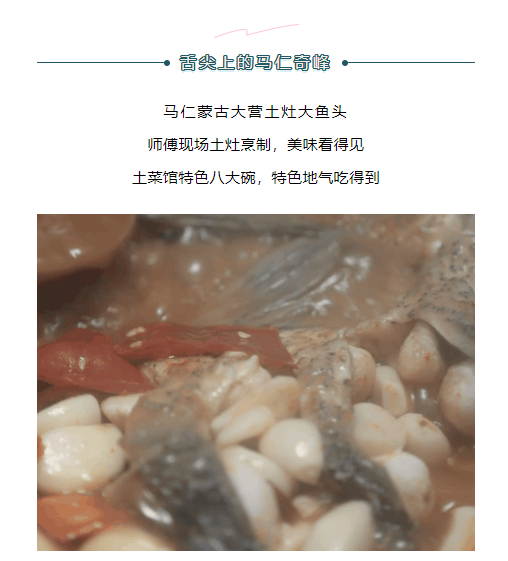 午夜熟女插插XX免费视频