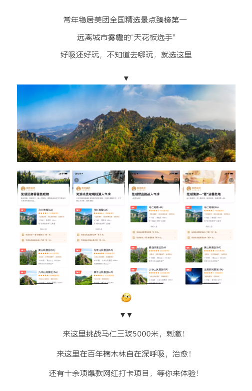 午夜熟女插插XX免费视频