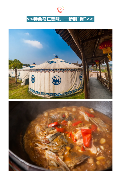 午夜熟女插插XX免费视频