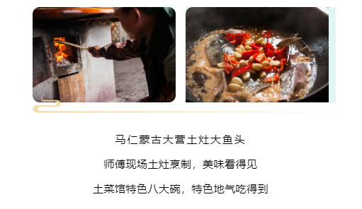 午夜熟女插插XX免费视频