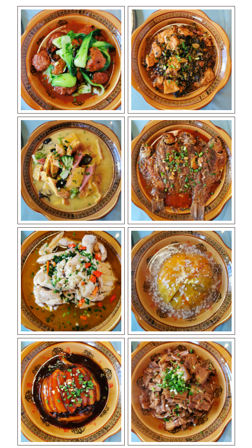 午夜熟女插插XX免费视频