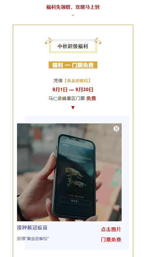 午夜熟女插插XX免费视频