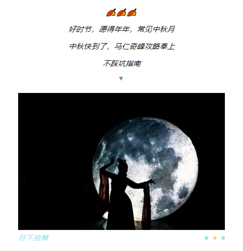 午夜熟女插插XX免费视频