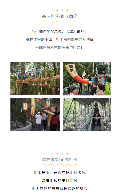 午夜熟女插插XX免费视频