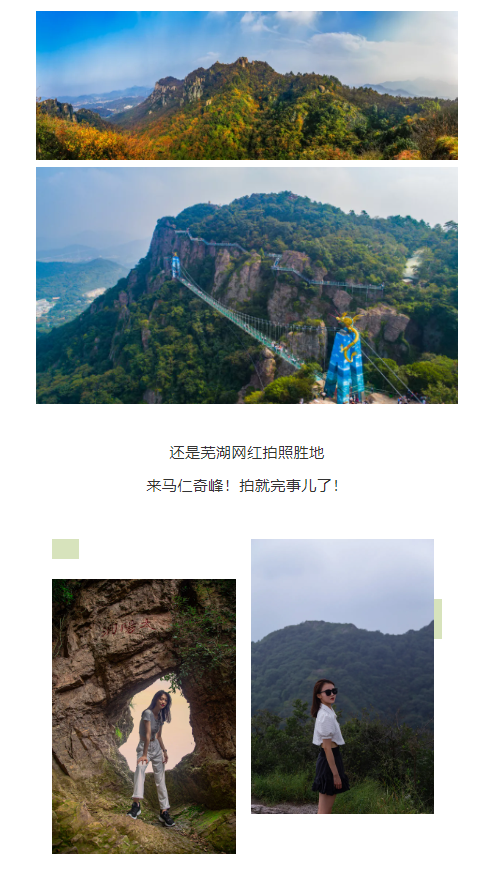 午夜熟女插插XX免费视频