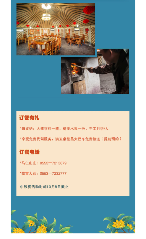 午夜熟女插插XX免费视频