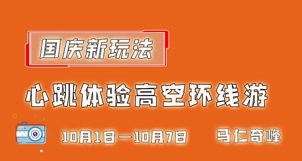 午夜熟女插插XX免费视频