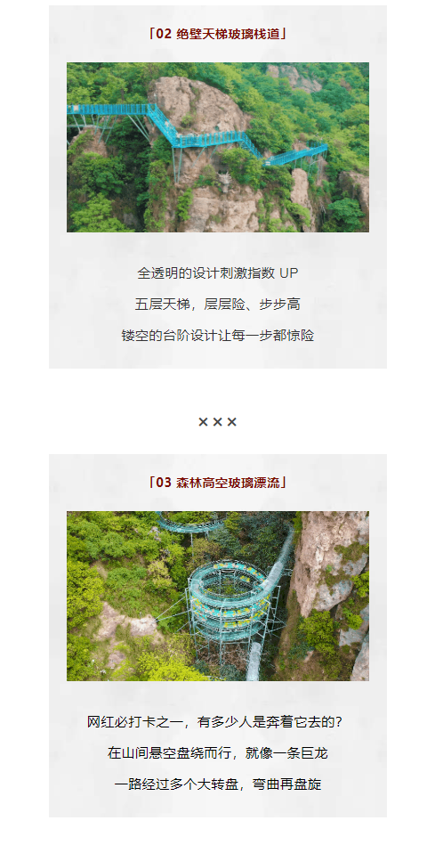 午夜熟女插插XX免费视频