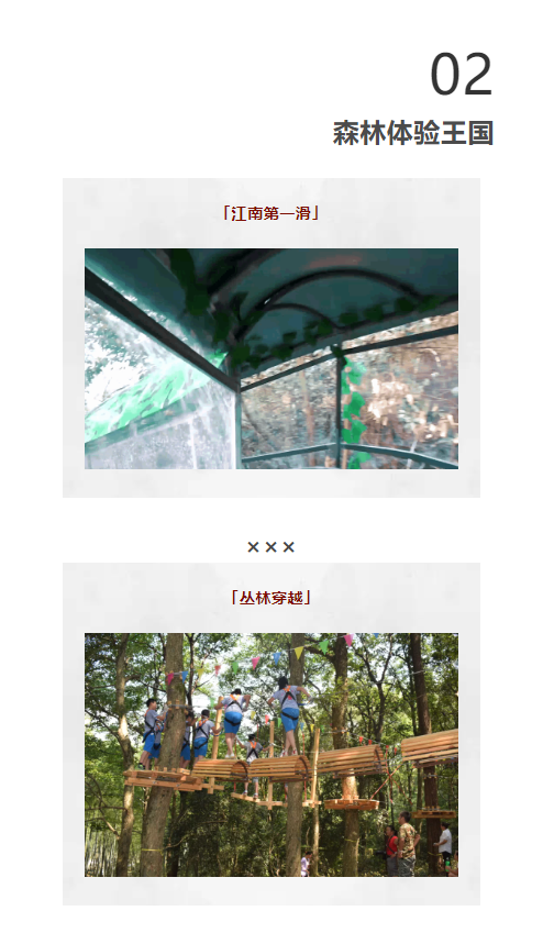 午夜熟女插插XX免费视频