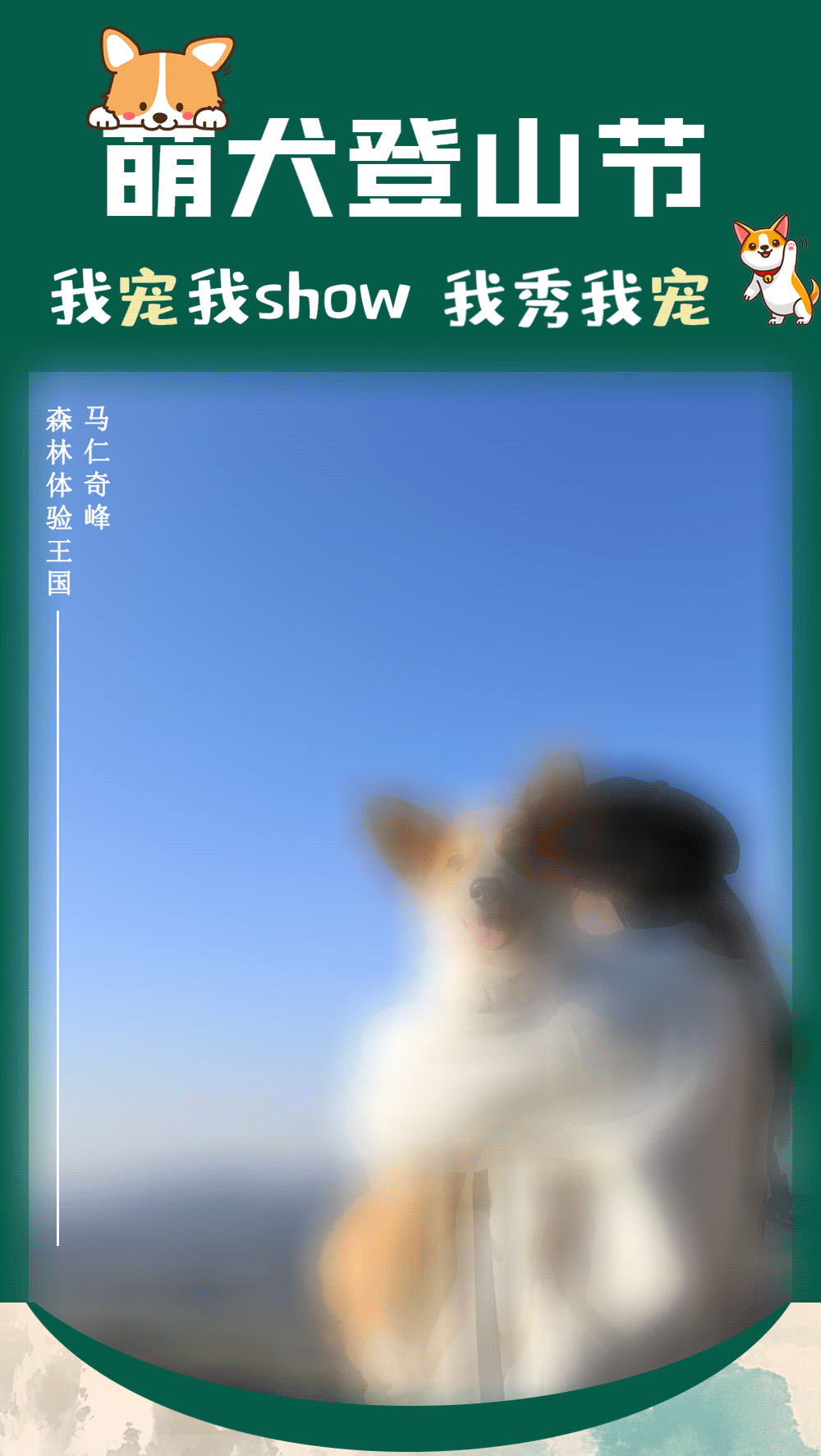 午夜熟女插插XX免费视频