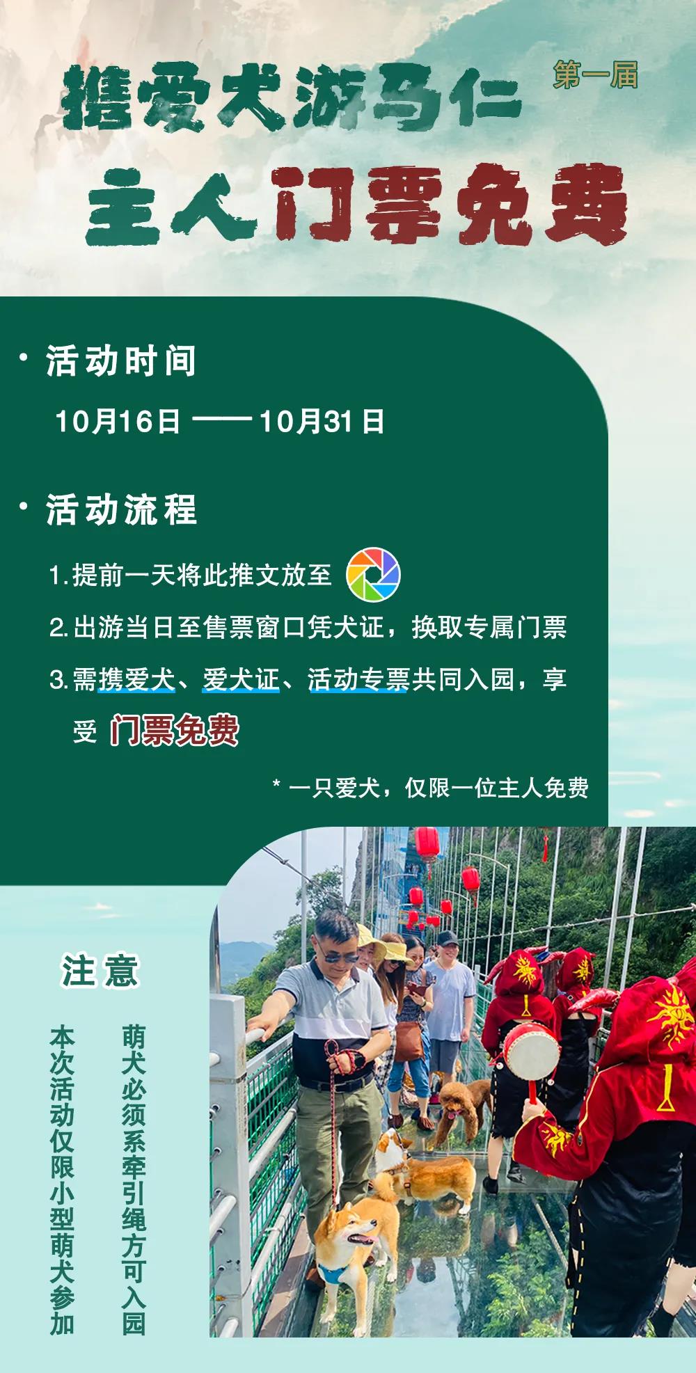 午夜熟女插插XX免费视频