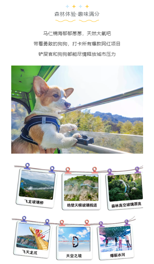 午夜熟女插插XX免费视频