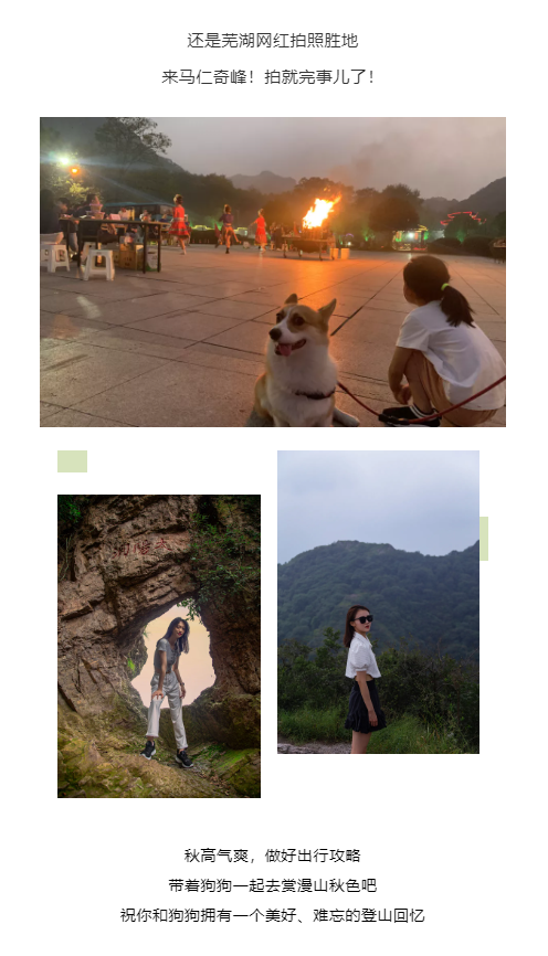 午夜熟女插插XX免费视频