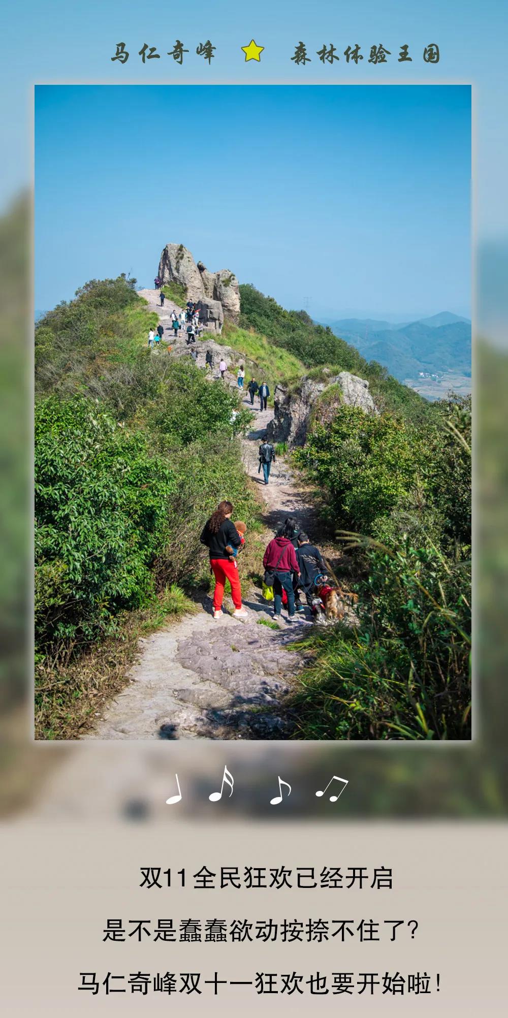 午夜熟女插插XX免费视频