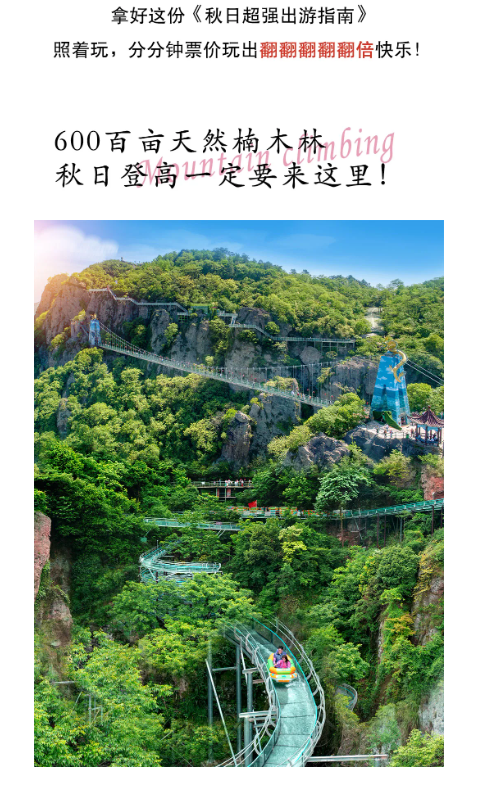 午夜熟女插插XX免费视频