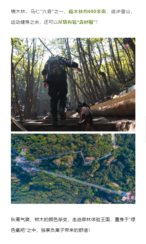 午夜熟女插插XX免费视频