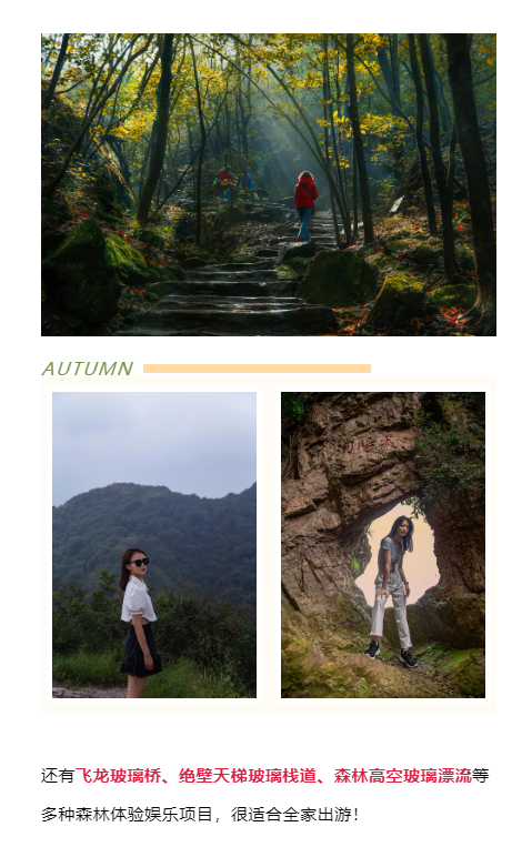 午夜熟女插插XX免费视频