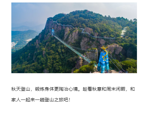 午夜熟女插插XX免费视频