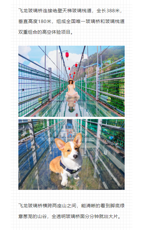 午夜熟女插插XX免费视频