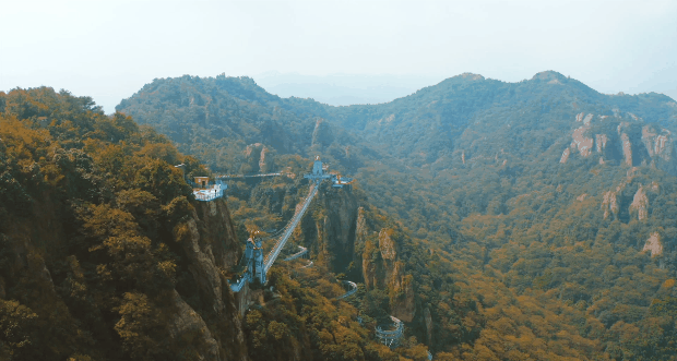 午夜熟女插插XX免费视频