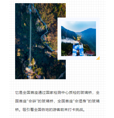 午夜熟女插插XX免费视频