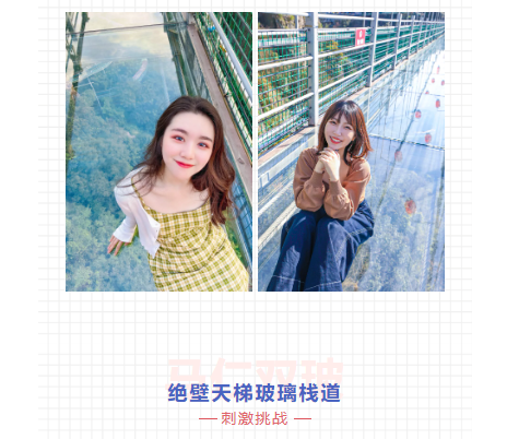 午夜熟女插插XX免费视频